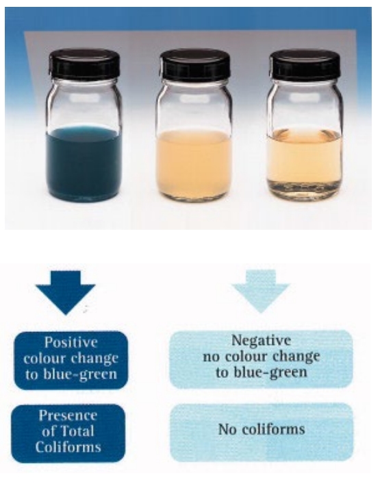 Readycult 대장균군 측정키트 coliforms Merck 수질검사