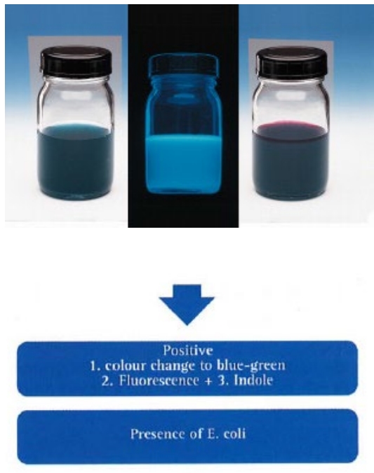 Readycult 대장균군 측정키트 coliforms Merck 수질검사